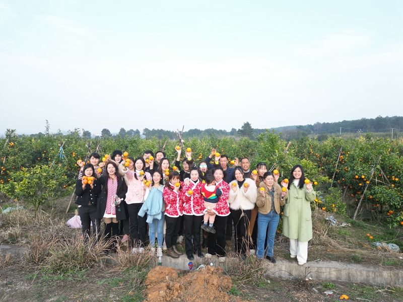 DJI_0916.JPG